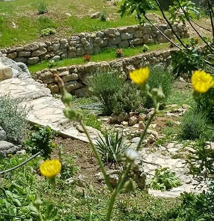 O'zrna * Klis